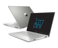 HP Pavilion 15 i5-8265/8GB/256 MX250 - 513829 - zdjęcie 1